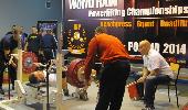 IMG_4231.jpg