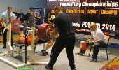 IMG_4293.jpg